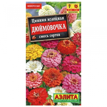Цинния Дюймовочка, смесь сортов