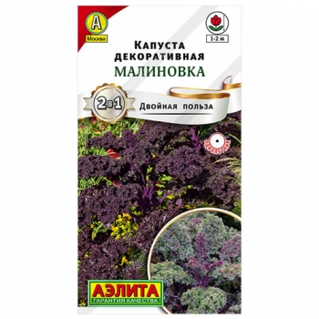 Капуста декоративная Малиновка