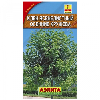 Клен ясенелистный Осенние кружева