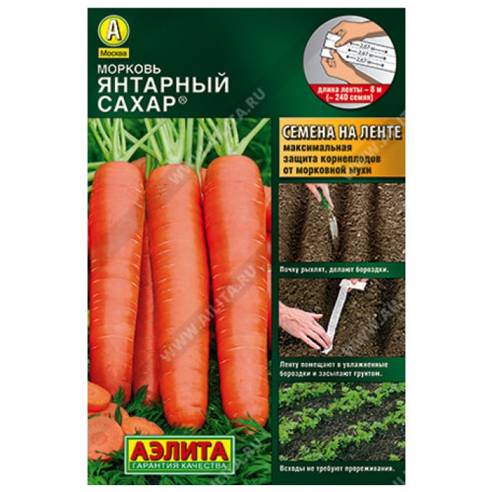 Морковь Янтарный сахар &reg;