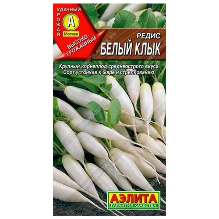 Редис Белый клык