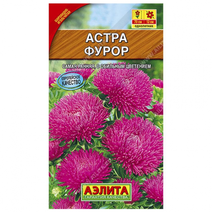 Астра Фурор