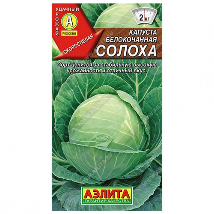 Капуста б/к Солоха