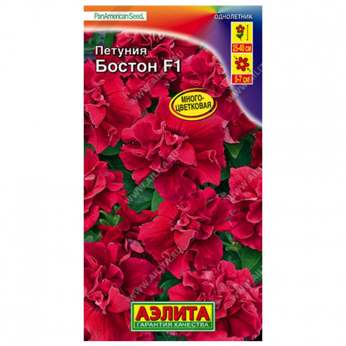 Петуния Бостон F1 многоцветковая махровая