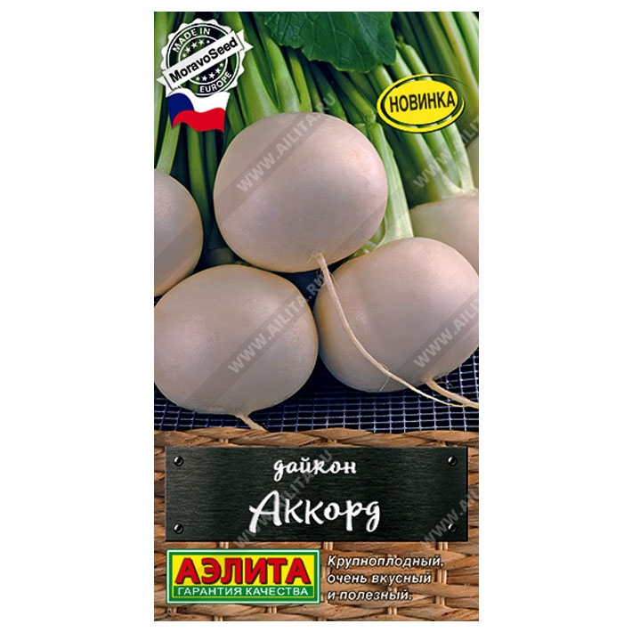 Дайкон Аккорд