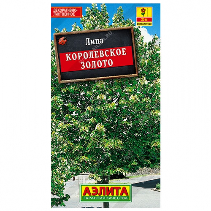 Липа пушистая Королевское золото