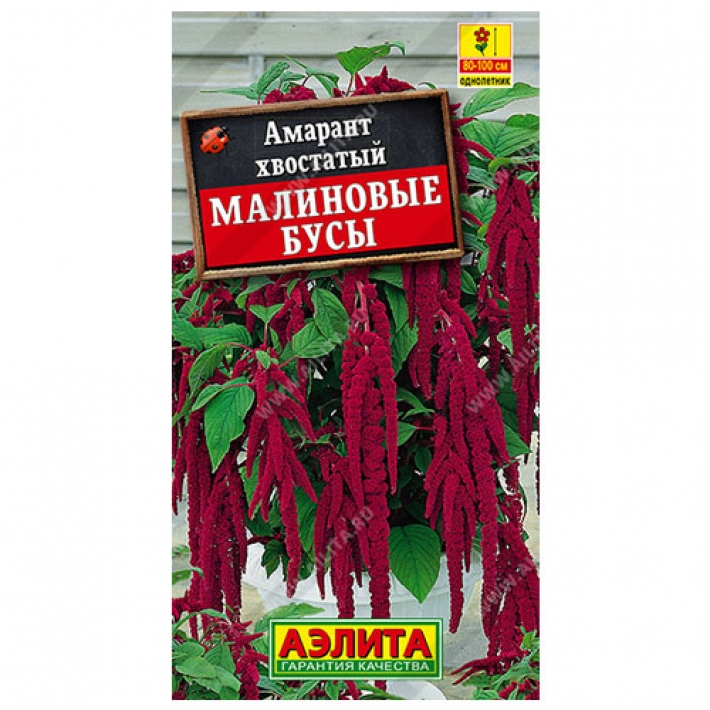 Амарант Малиновые бусы