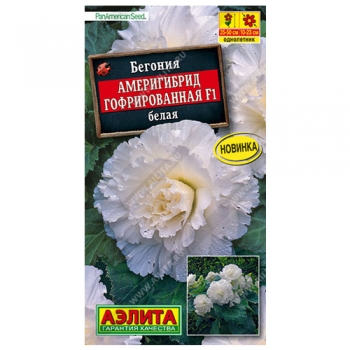 Бегония Америгибрид гофрированная F1 белая
