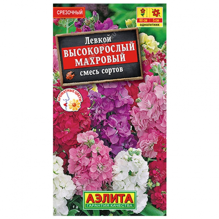 Левкой Высокорослый махровый, смесь сортов