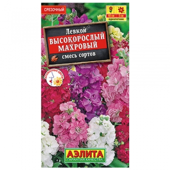 Левкой Высокорослый махровый, смесь сортов