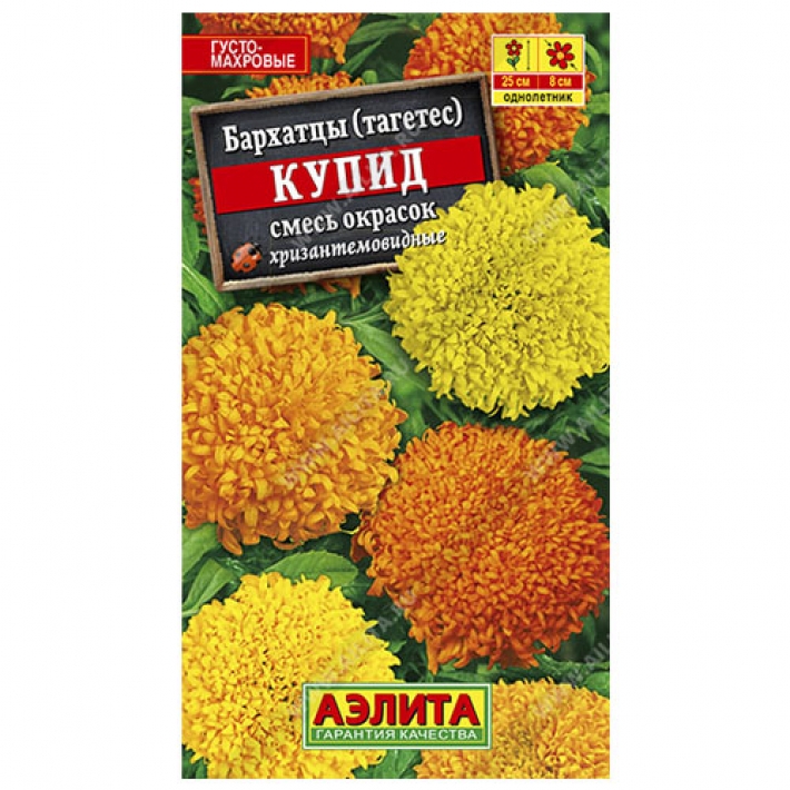 Бархатцы Купид, смесь окрасок