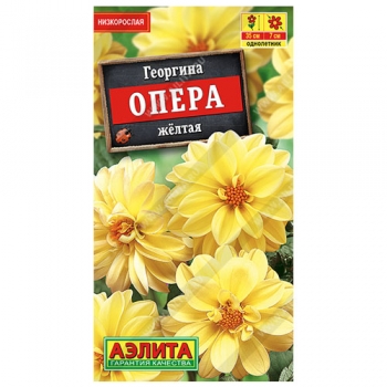 Георгина Опера желтая
