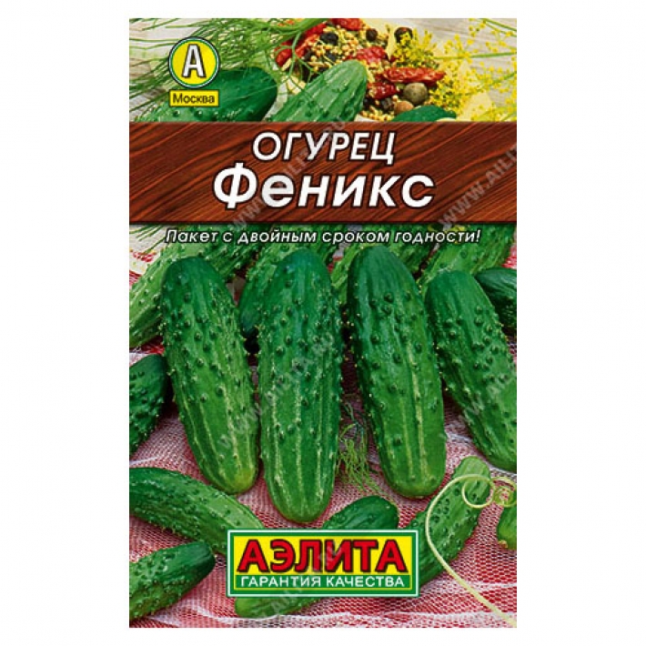 Огурец Феникс