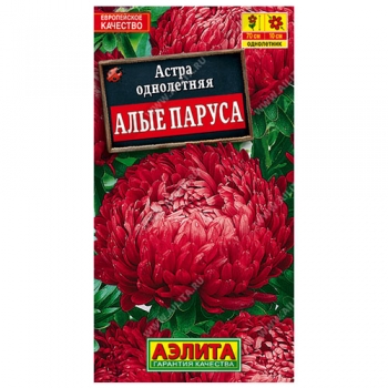 Астра Алые паруса