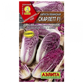 Капуста пекинская Скарлетт F1