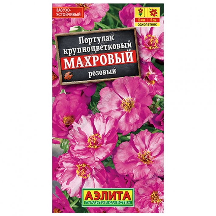 Портулак махровый розовый