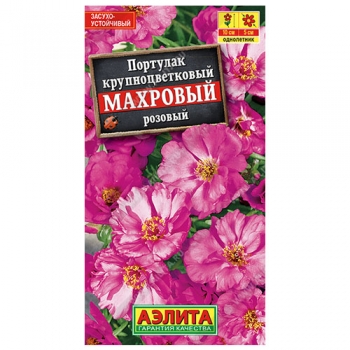 Портулак махровый розовый