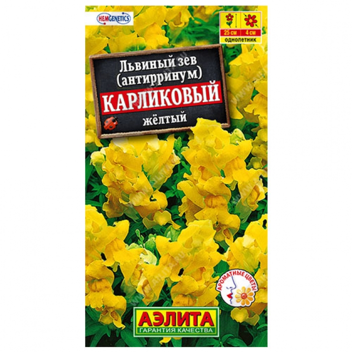 Львиный зев карликовый желтый