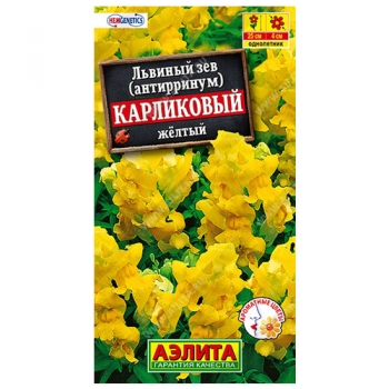 Львиный зев карликовый желтый
