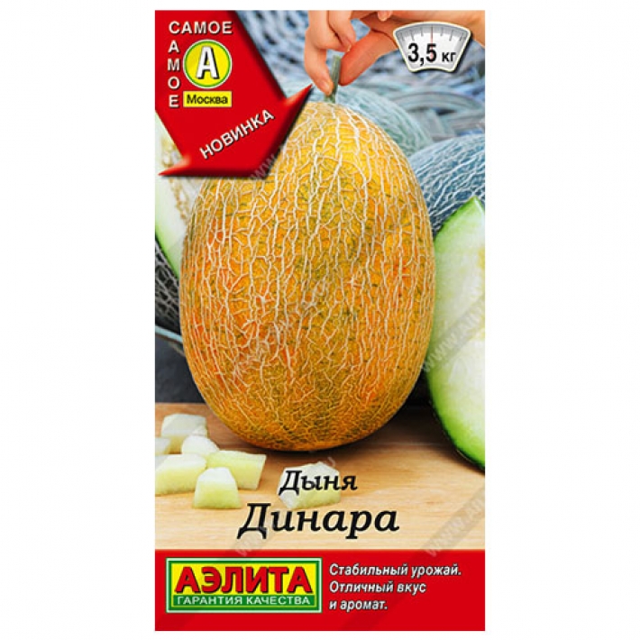 Дыня Динара