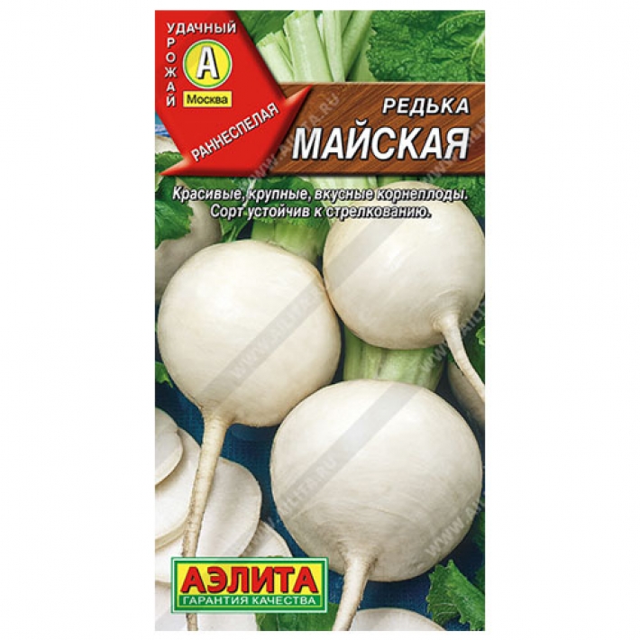 Редька Майская