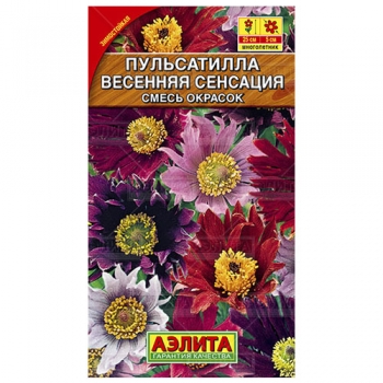 Пульсатилла Весенняя Сенсация, смесь окрасок