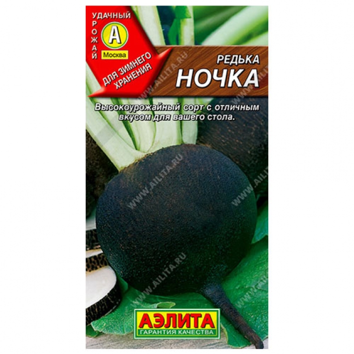 Редька Ночка