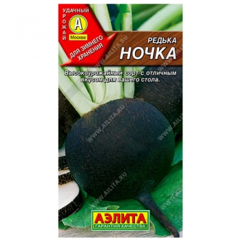 Редька Ночка