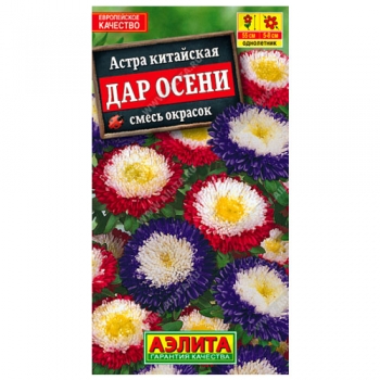 Астра Дар осени, смесь окрасок