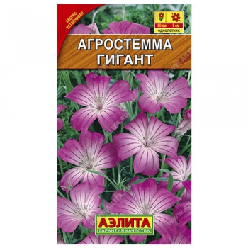 Агростемма Гигант