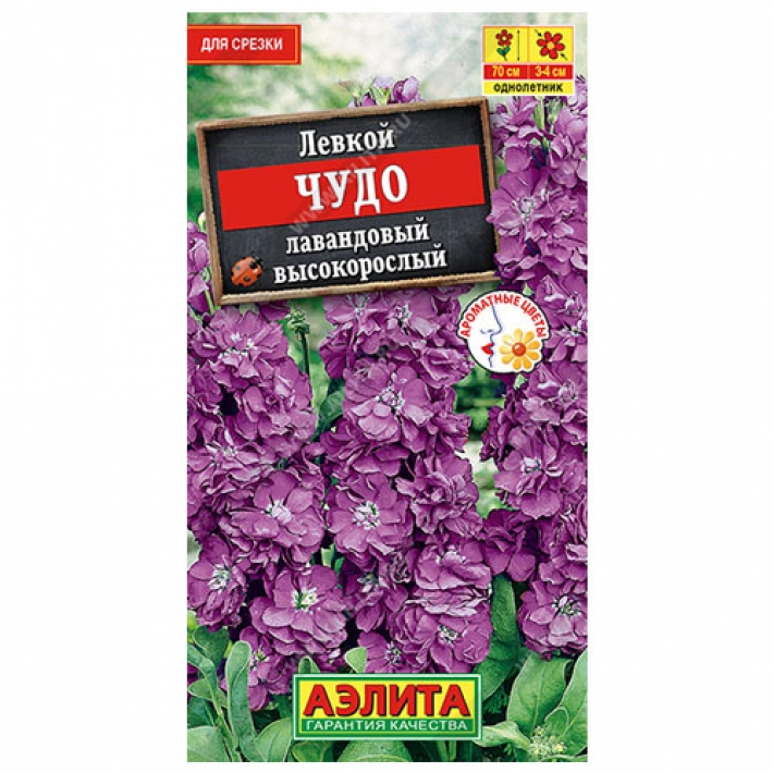 Левкой высокорослый Чудо лавандовый