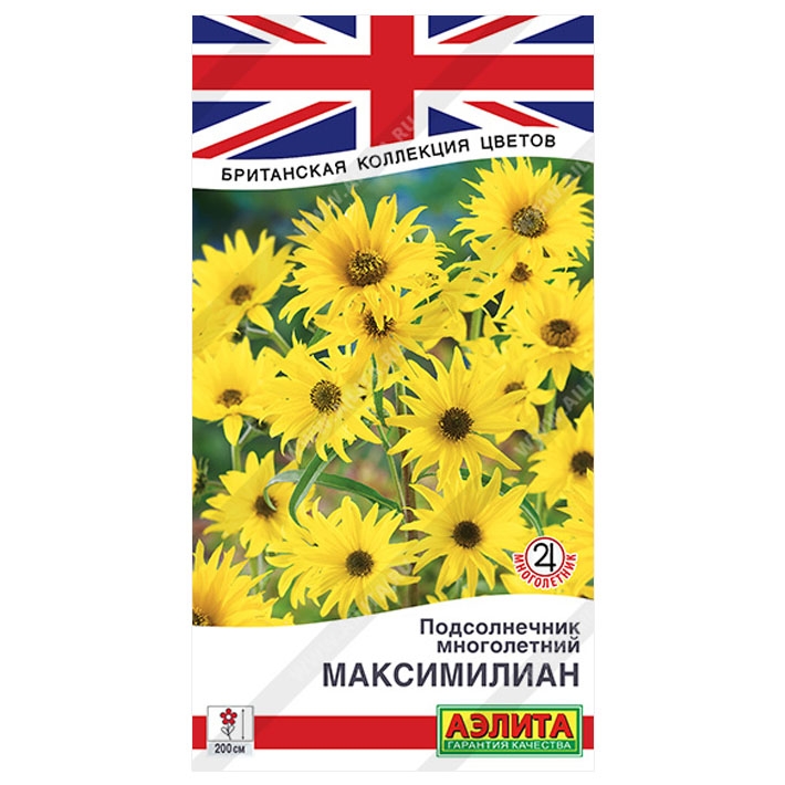 Подсолнечник многолетний Максимилиан