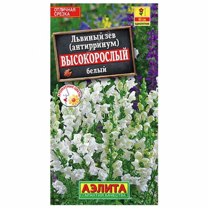 Львиный зев Высокорослый белый