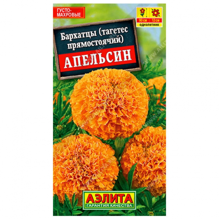 Бархатцы Апельсин прямостоячие