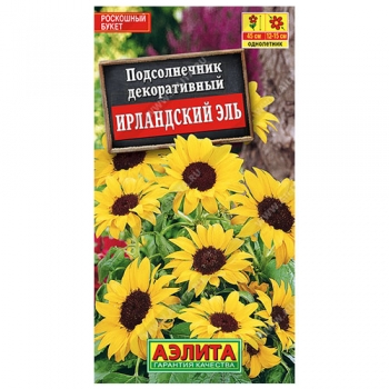 Подсолнечник Ирландский эль