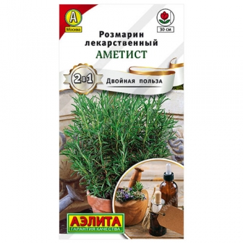 Розмарин Аметист