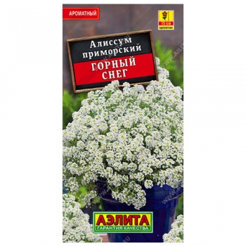 Алиссум Горный снег