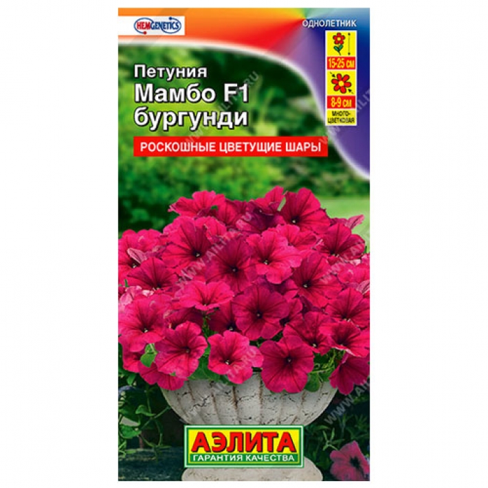 Петуния Мамбо F1 бургунди многоцветковая