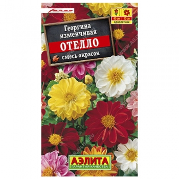 Георгина Отелло, смесь сортов