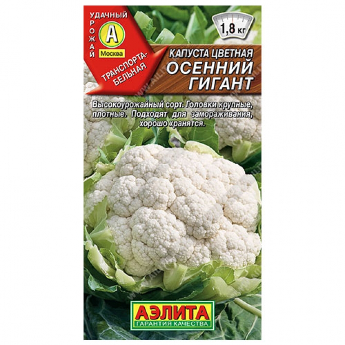 Капуста цветная Осенний гигант