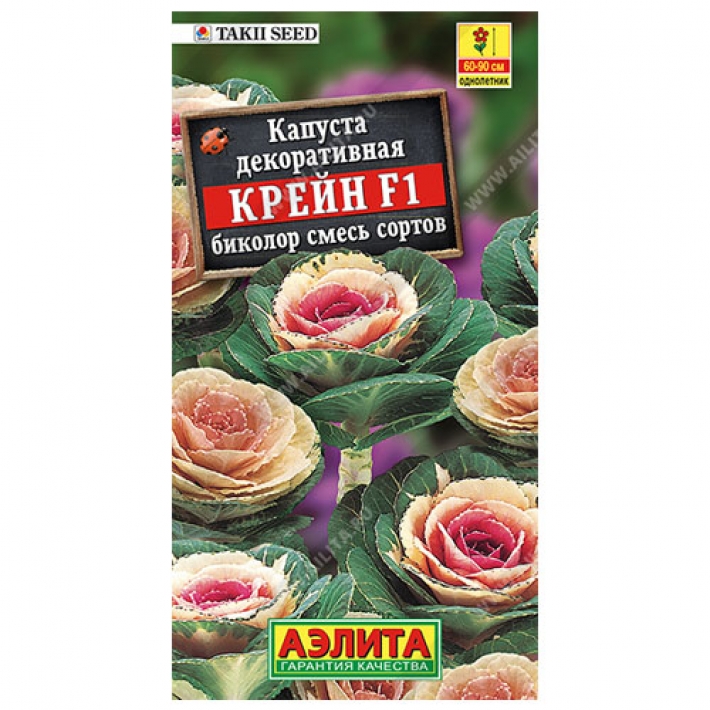 Капуста декоративная Крейн биколор F1, смесь окрасок