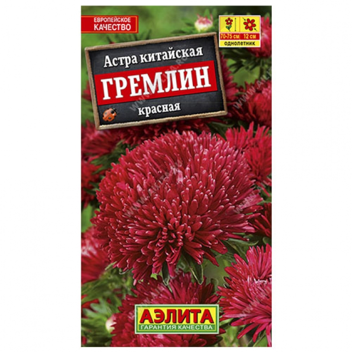 Астра Гремлин красная