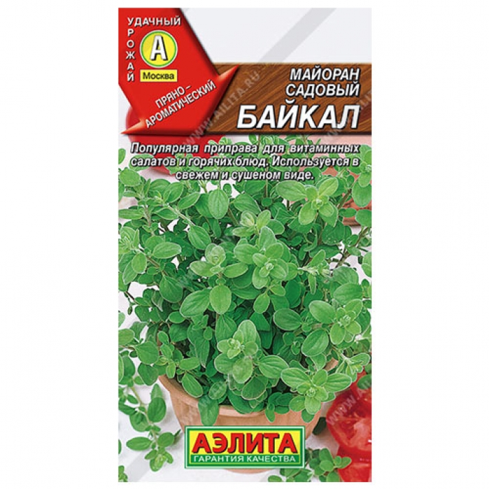 Майоран садовый Байкал