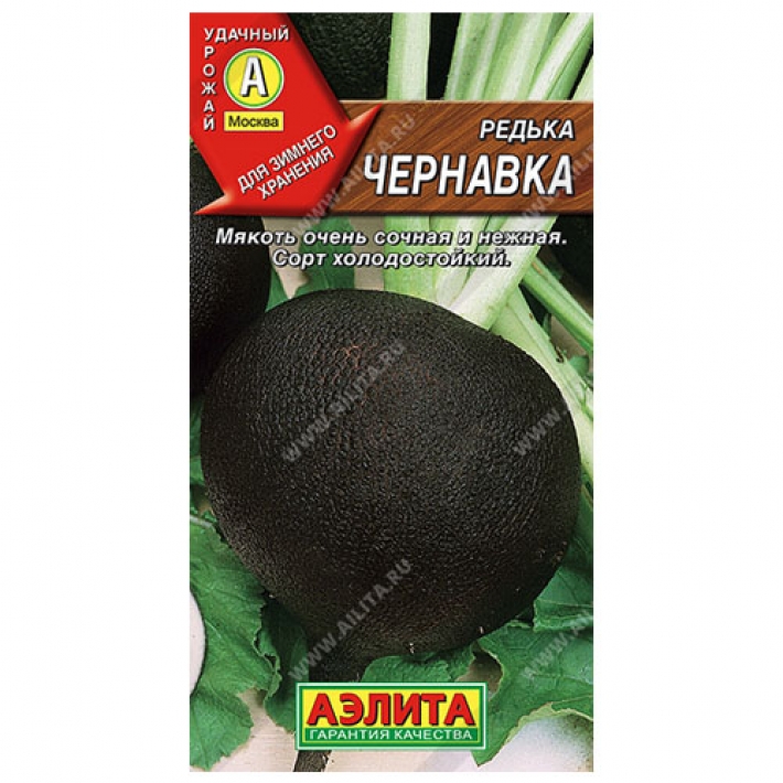 Редька Чернавка
