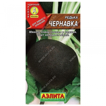 Редька Чернавка