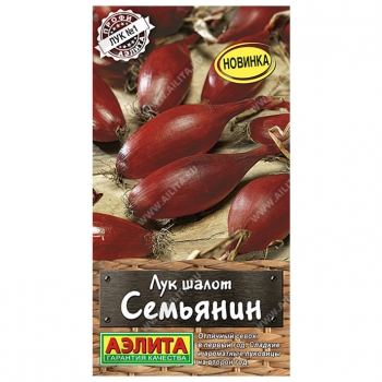 Лук шалот Семьянин