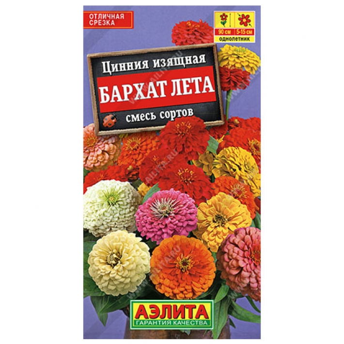 Цинния Бархат лета, смесь сортов