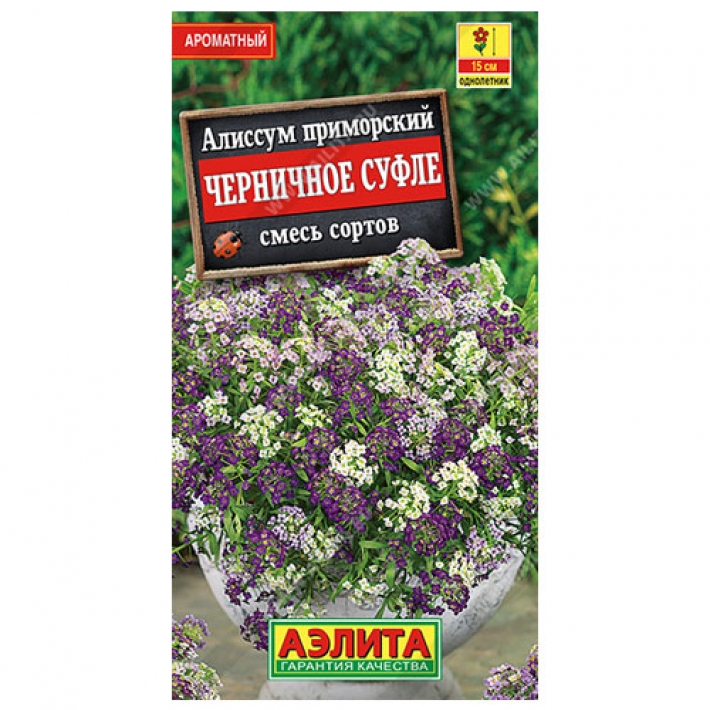 Алиссум Черничное суфле, смесь сортов