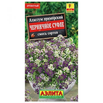 Алиссум Черничное суфле, смесь сортов
