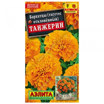 Бархатцы Танжерин отклоненные